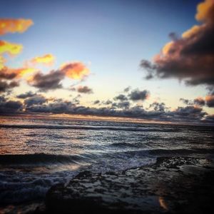 Meet your Posher, Malia